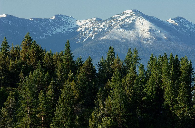 800px-strawberry mountain forests-malheur %2823303415404%29