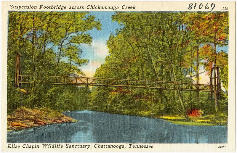 800px-suspension footbridge across chickamauga creek%2c elise chapin wildlife sanctuary%2c chattanooga%2c tennessee %2881067%29