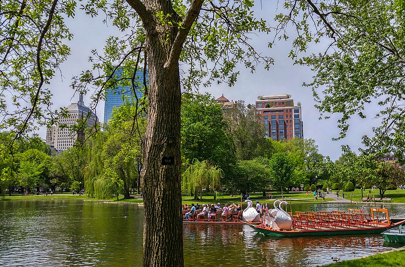 800px-swan boats at boston public garden