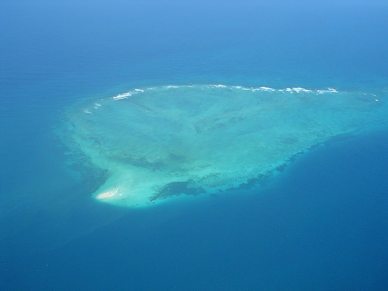 800px-tanzania%2c dar es salaam marine reserve%2c fungu yasini