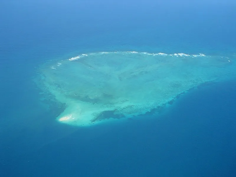 800px-tanzania%2c dar es salaam marine reserve%2c fungu yasini