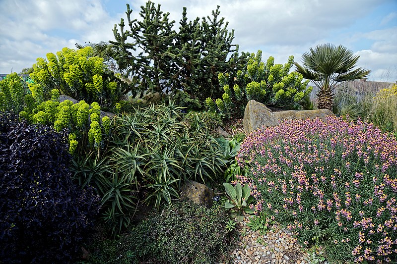 800px-the dry garden at rhs garden hyde hall%2c essex%2c england - border planting