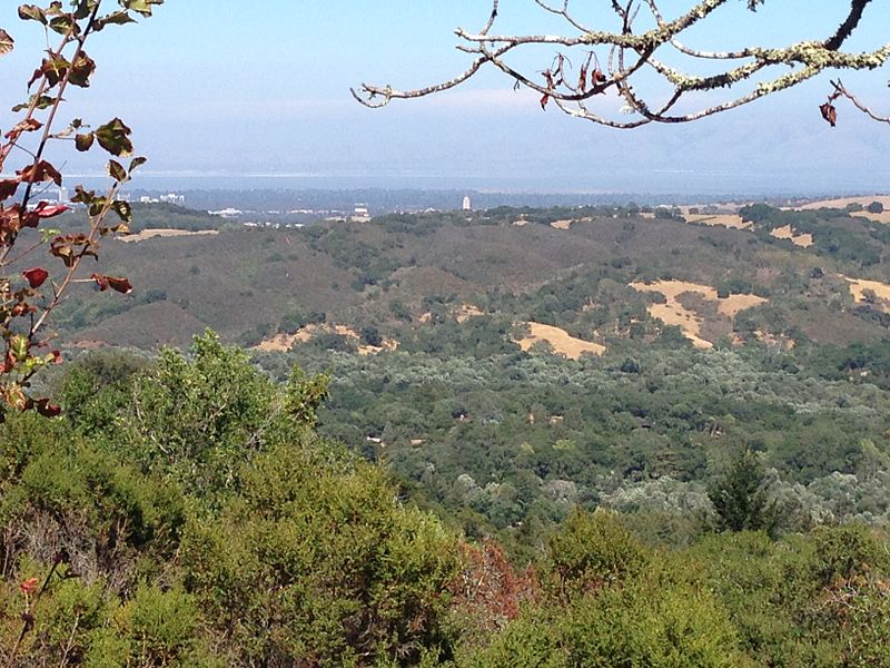 800px-thornewood open space preserve- view of san francisco bay and silicon valley