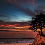 800px Tree at sunset2C Capitola Beach2C Capitola2C California 283154761582729