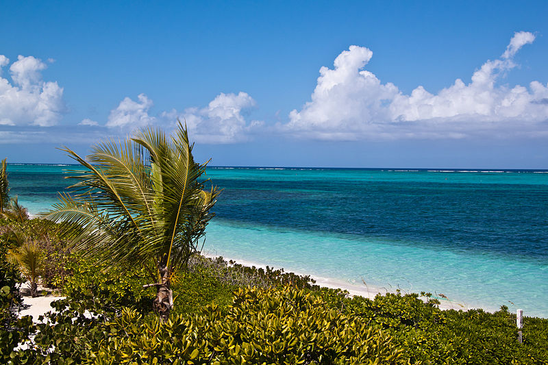 800px-turtle cove providenciales beach