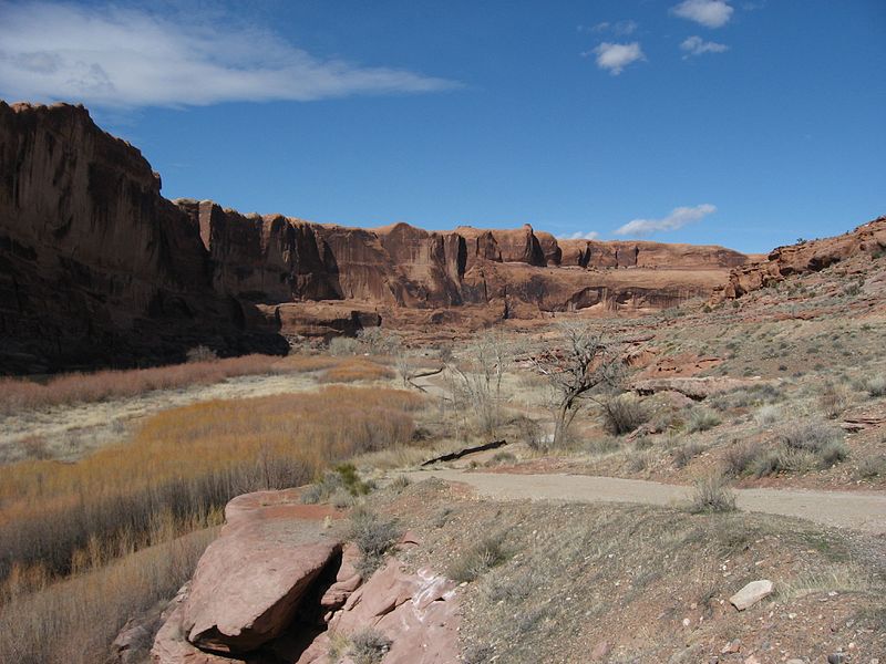 800px-utah state route 128 along colorado river near moab%2c utah %282408380052%29