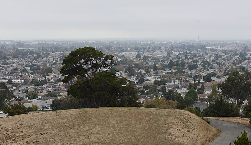 800px-view of oakland%2c california and tree on hill from oakland zoo %2810526409583%29