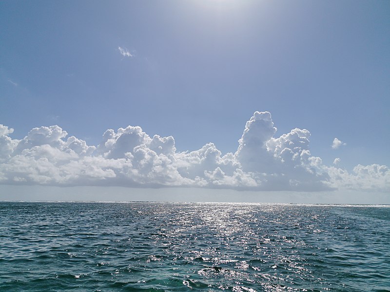 800px-vista del mar caribe desde el parque nacional arrecife de puerto morelos
