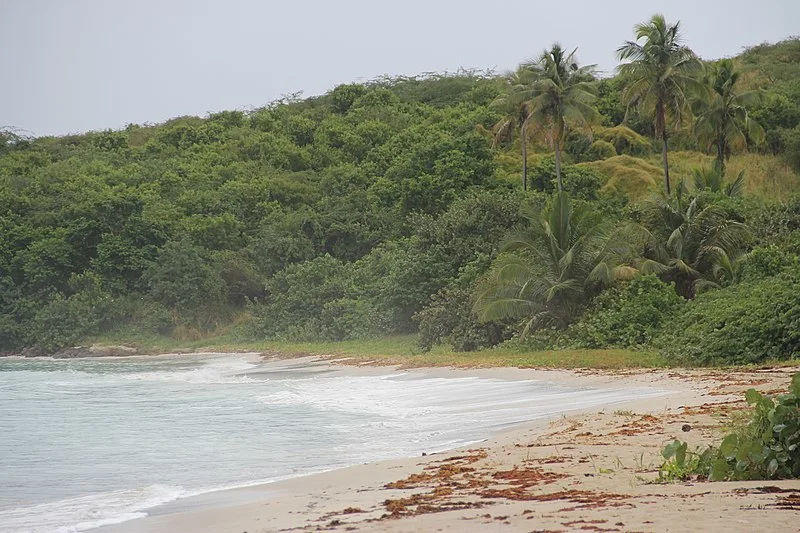800px-zoni beach on northeastern coast of culebra%2c puerto rico