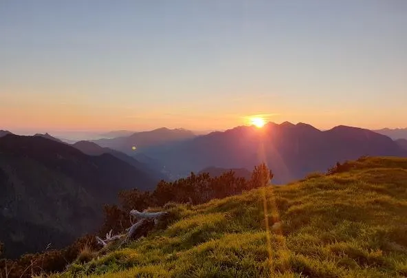 Af1qipmshmrd-m5uit3einn48nngj bqf5viafgs9pa=w592-h404-n-k-no