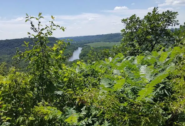 Af1qipmccewmamf1m4loc6uditdgenrtahy4tmhyjkia=w592-h404-n-k-no