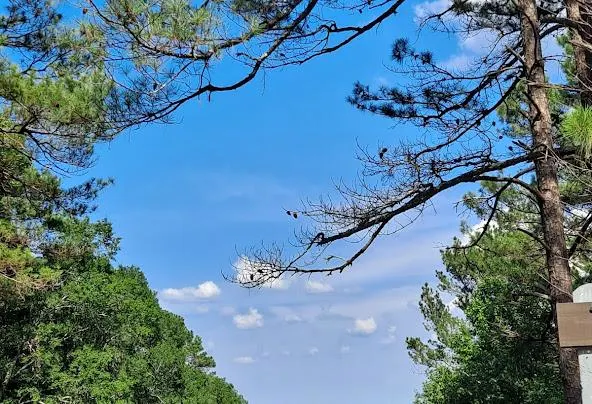 Af1qipmfnodixhevpcgvfftq46k7vaj6mv9tasak2gpv=w592-h404-n-k-no