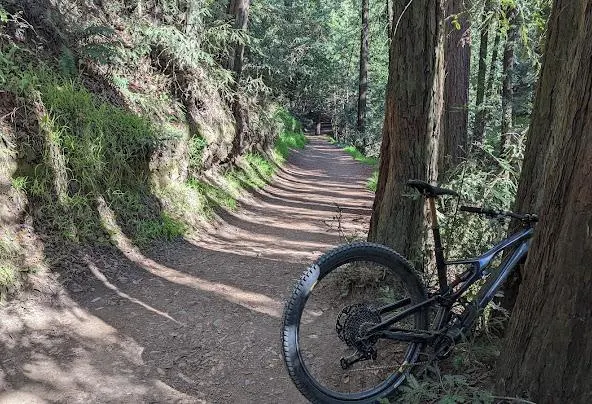 Af1qipmkc5oq3j3vnep ar9a2fa3dcmmfr6rc6cmi340=w592-h404-n-k-no