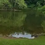 AF1QipMurzo4qDW9rkNhDzZDt9OxofXEhnYVinr69row296 h202 n k no