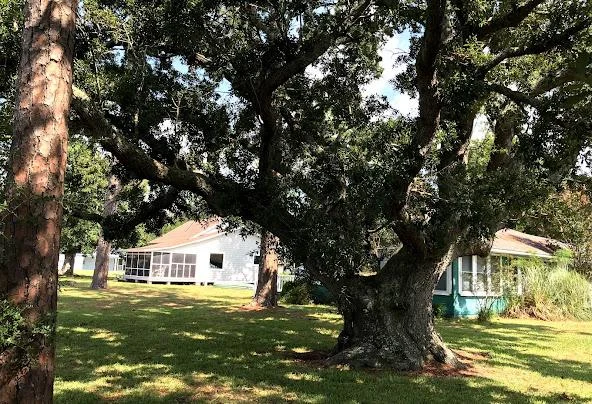 Af1qipmwqxmltc8mhrqf-zpttbt93sfwimnjdy2bnzon=w592-h404-n-k-no