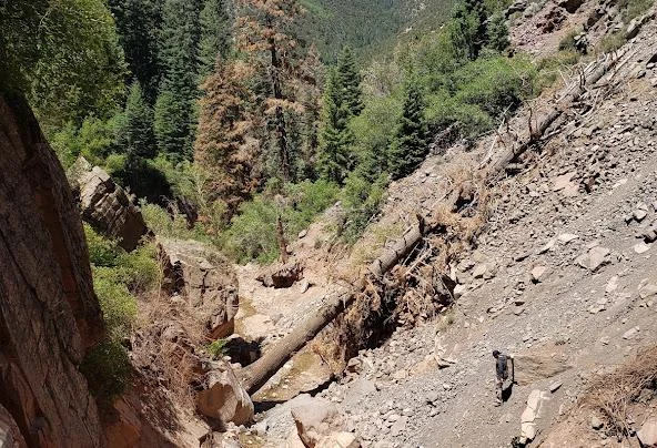 AF1QipNAHWS06 WvMa8HH4cE4qMEd0L81TdUAgcLswY w592 h404 n k no Af1qipnahws06-wvma8hh4ce4qmed0l81tduagclswy =w592-h404-n-k-no