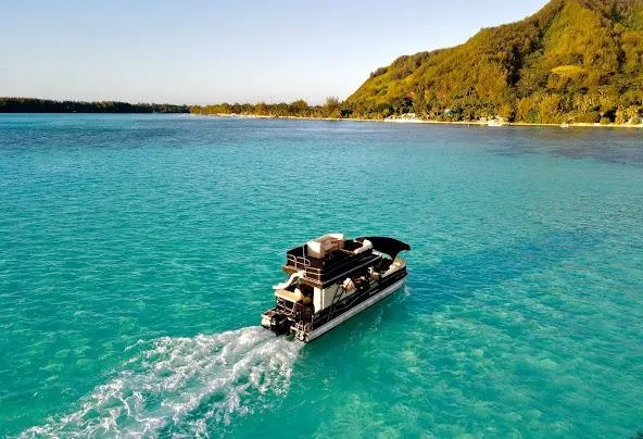 Af1qipnaa5wztpojapbibvtet tnigrteycgueo0dytz=w592-h404-n-k-no