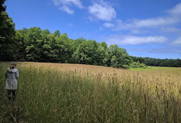 AF1QipNFO5mx9AWaCtUp HuLkchLqUKZ5Dkq053Jdicpw592 h404 n k no Af1qipnfo5mx9awactup hulkchlqukz5dkq053jdicp=w592-h404-n-k-no