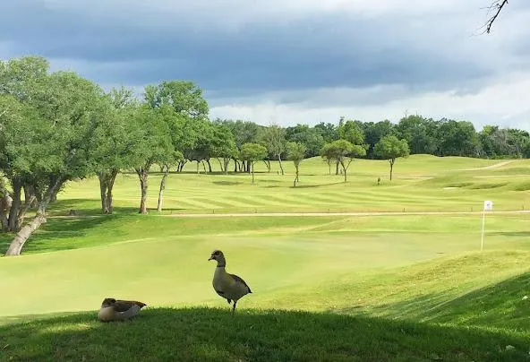 Af1qipnqpbhlvxlocw8hj wltgfuncwihizwwtp3q9ih=w592-h404-n-k-no