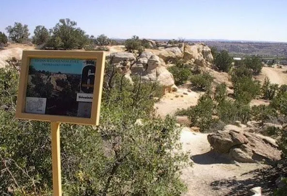 Af1qipn pkiihbwx1sw8v drwd51tzmi8pbc9zn-omrl=w592-h404-n-k-no