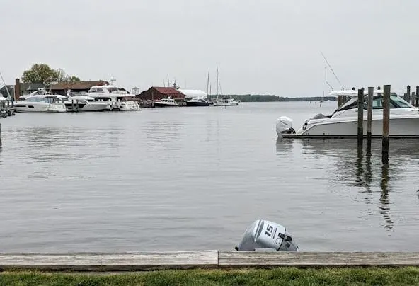 AF1QipNchM iAAY9qfly peNnUwgMO7NIWwSOebabXL6w592 h404 n k no Af1qipnchm-iaay9qfly pennuwgmo7niwwsoebabxl6=w592-h404-n-k-no