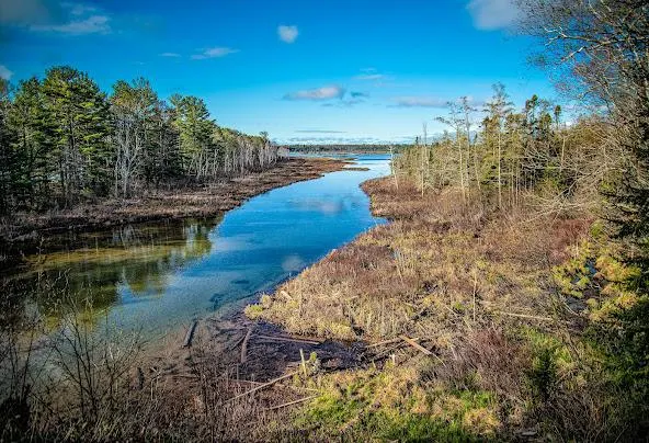 AF1QipNfmbdsIZSWbAkhtgSJ7NRid0Ypy 07sX7vi3Jsw592 h404 n k no Af1qipnfmbdsizswbakhtgsj7nrid0ypy-07sx7vi3js=w592-h404-n-k-no