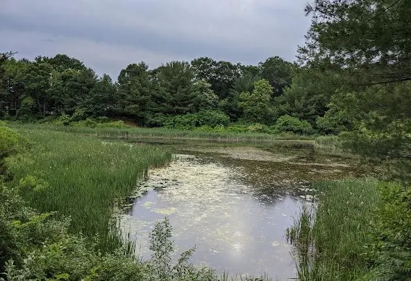 Af1qipokmei9xqt64kytrtlzgyydx6kqzwctpkvcr6w =w592-h404-n-k-no