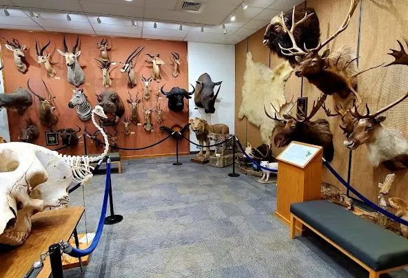 AF1QipOkOqUTpuwX5iNdjYDpSxzm0ZPD1ADw w 9yXRuw592 h404 n k no Af1qipokoqutpuwx5indjydpsxzm0zpd1adw-w-9yxru=w592-h404-n-k-no