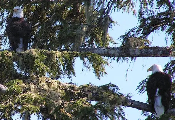 Af1qipokngri4opq3lptkkrcduaqnd3ey16ibegqs76y=w592-h404-n-k-no