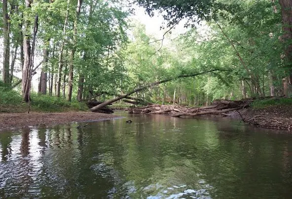 AF1QipOtcCL33mKQ5sp9YD1oFULZGv pi WQj0 b2FkGw592 h404 n k no Af1qipotccl33mkq5sp9yd1ofulzgv-pi-wqj0 b2fkg=w592-h404-n-k-no