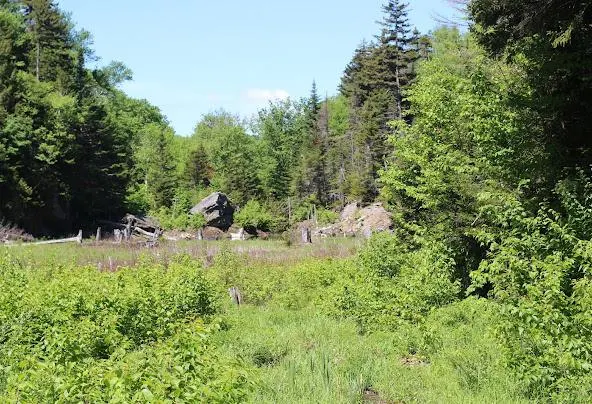 Af1qipp1-huudh4yxdafulhzdeukijgqoavie3ppbkaj=w592-h404-n-k-no