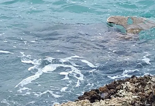 AF1QipPBW73nSWsmewMVP1gHJSq9Tp4PY3HFJL8jqdAw592 h404 n k no Af1qippbw73nswsmewmvp1ghjsq9tp4py3hfjl8jqda=w592-h404-n-k-no