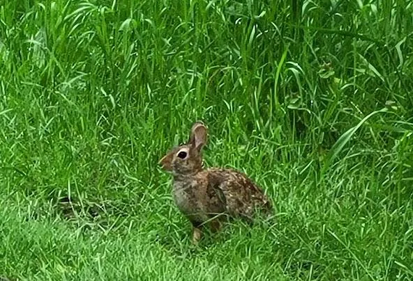 Af1qippemr2ufaqczf4ymx1psu9k9bkyk0hcjpfx4ata=w592-h404-n-k-no