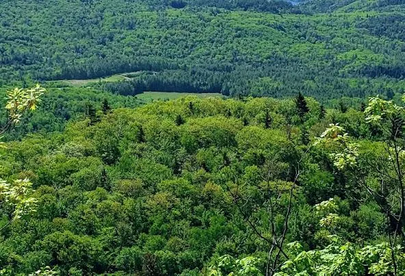 Af1qipplud-buzfrsobh2siftsn9zcl8-tzu-ajcsrhw=w592-h404-n-k-no