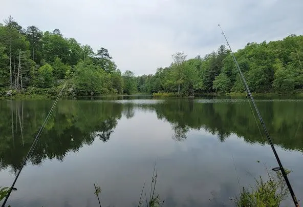 AF1QipPPwJmw LAX76xMvPX63 JiCrtS2or51G5J0RzHw592 h404 n k no Af1qipppwjmw-lax76xmvpx63 jicrts2or51g5j0rzh=w592-h404-n-k-no