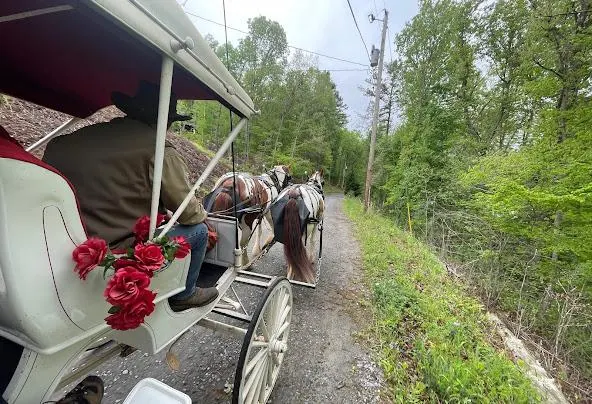 AF1QipPl7ZNKneug6NH0pAmzkKmAgGXsN I3LWJsXkJGw592 h404 n k no Af1qippl7znkneug6nh0pamzkkmaggxsn i3lwjsxkjg=w592-h404-n-k-no