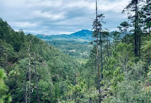 AF1QipPzNi Vt owKq MDaM0jUBqSZx0SX OJ1FwIlKNw592 h404 n k no Af1qippzni vt owkq mdam0jubqszx0sx oj1fwilkn=w592-h404-n-k-no