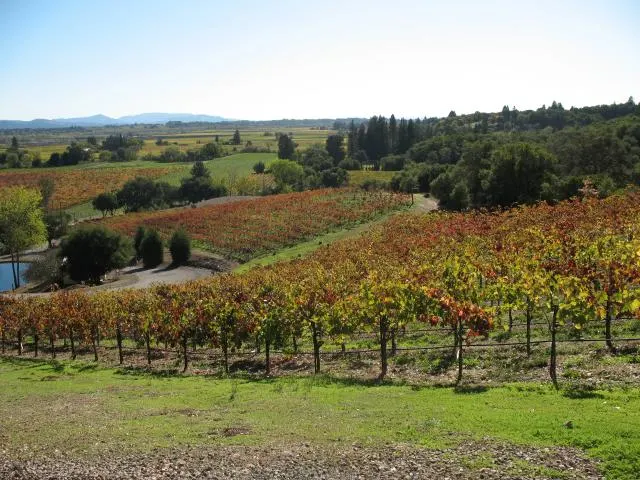 Armida winery vineyards 0001