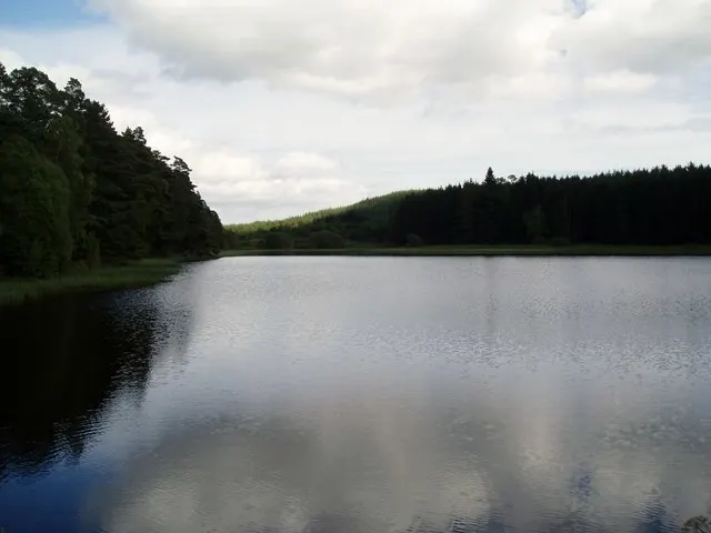 Laird%27s loch - geograph.org.uk - 3074487