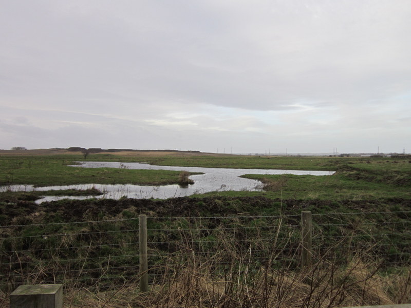 The teesmouth national nature reserve on the a178 - geograph.org.uk - 3334312