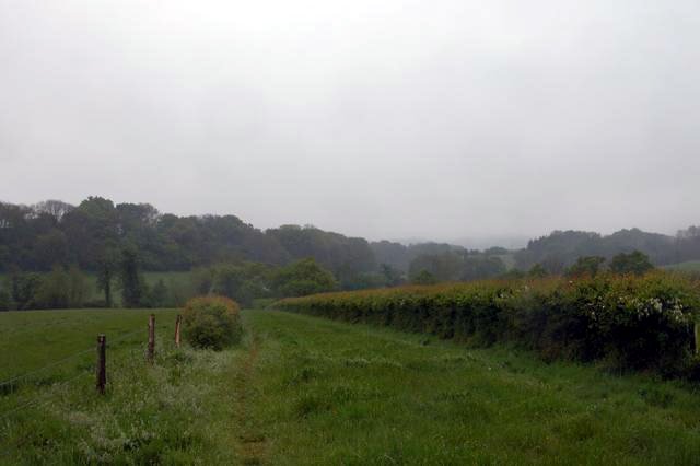 View looking south from the hangers way. - geograph.org.uk - 11021