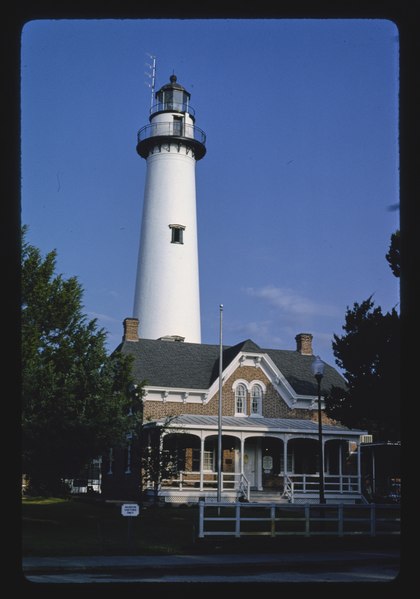 Lossy-page1-420px-lighthouse museum%2c st. simons island%2c georgia lccn2017712486.tif