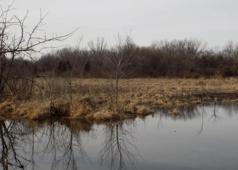 Lossy-page1-800px-haskell-baker wetlands.tif