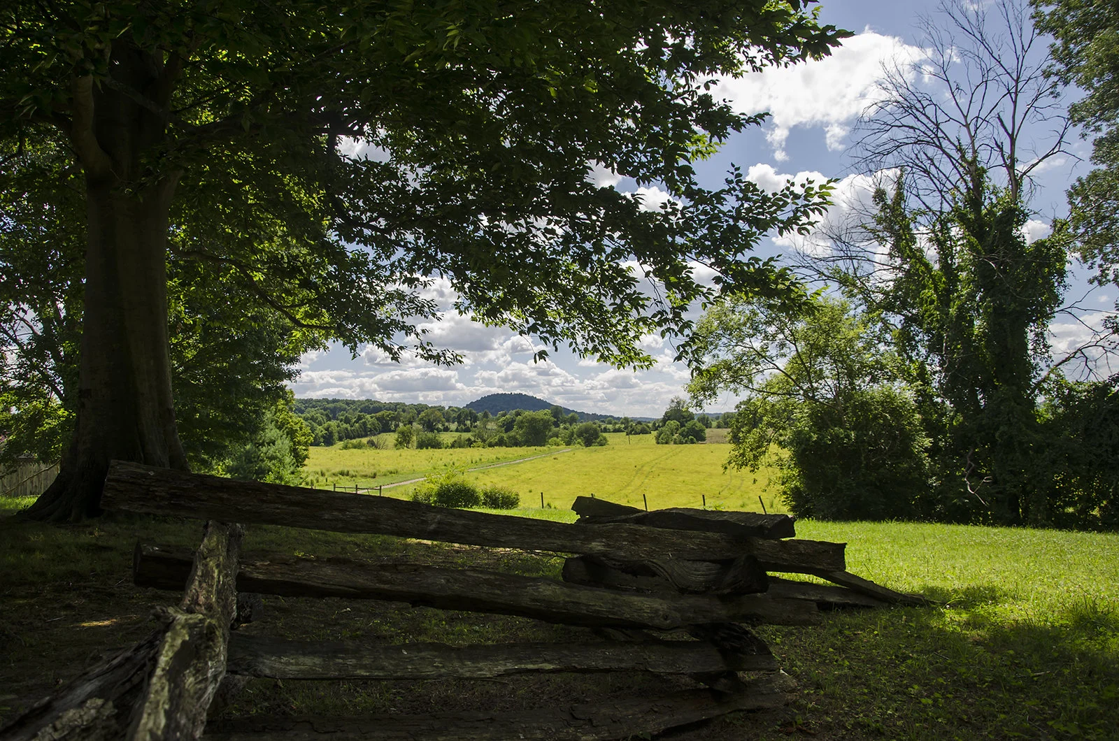 14732410374 935268f53d h 14732410374 935268f53d h