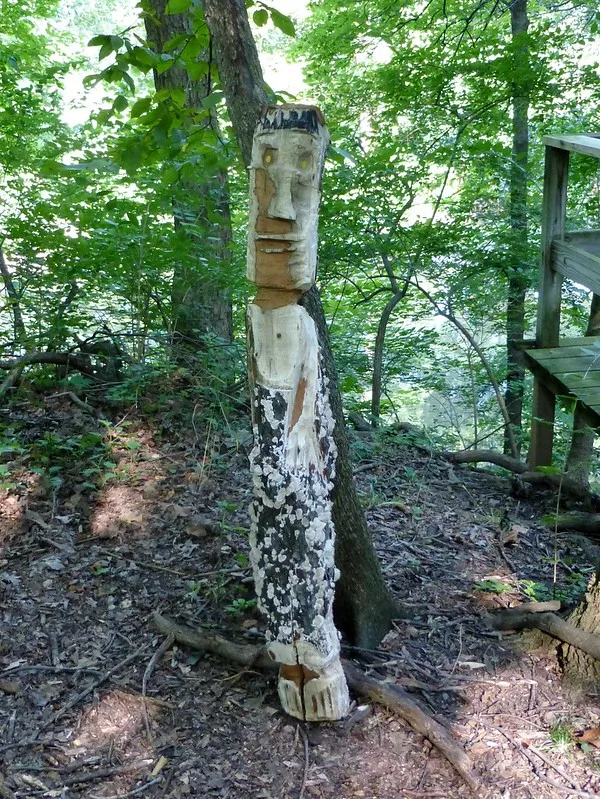 15085521325 fbff611849 c