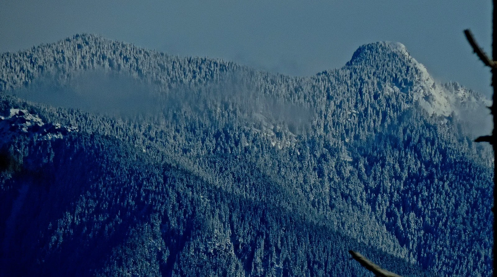 16993415795 a5afafeee1 h