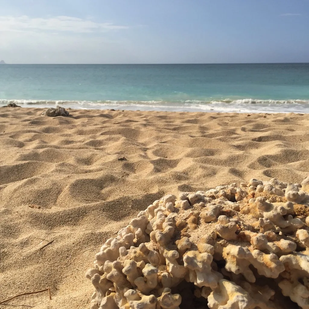 32693801750 7336c87149 b