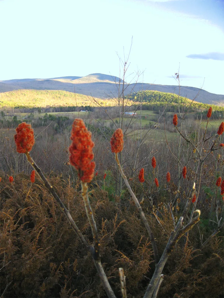 4162866781 a982664ea0 b