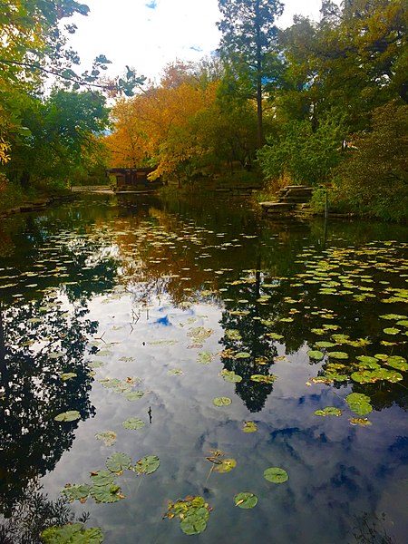 450px-alfred caldwell lily pond