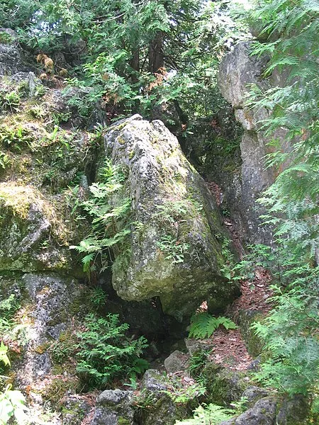 450px-fern cavern 2